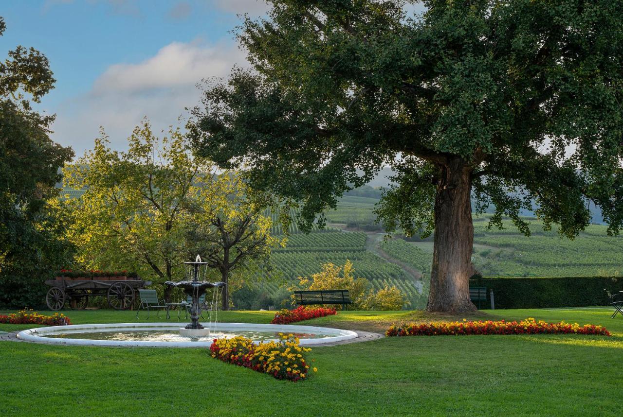 Château d'Isenbourg&SPA Rouffach Exterior foto