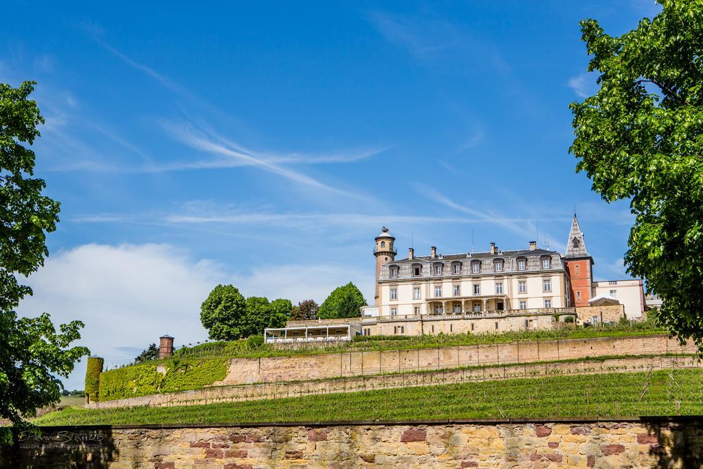 Château d'Isenbourg&SPA Rouffach Exterior foto