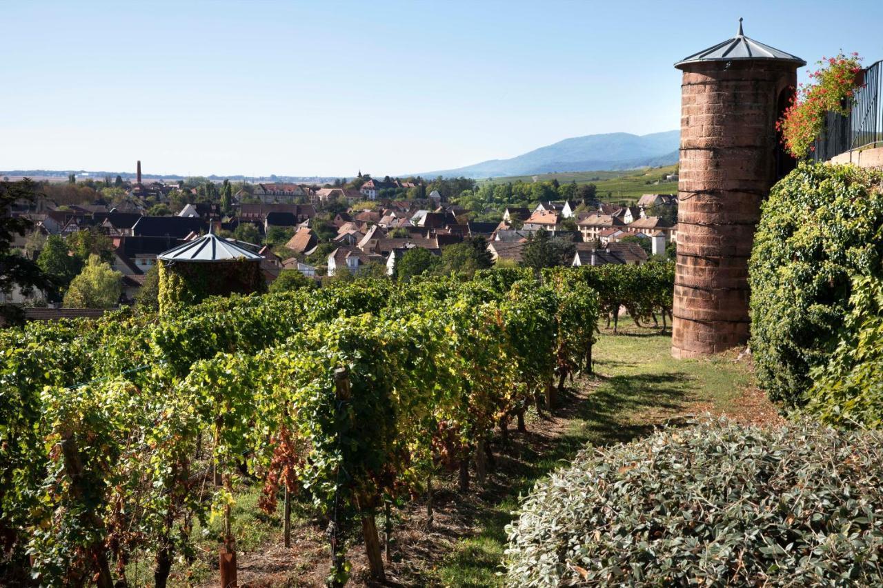 Château d'Isenbourg&SPA Rouffach Exterior foto