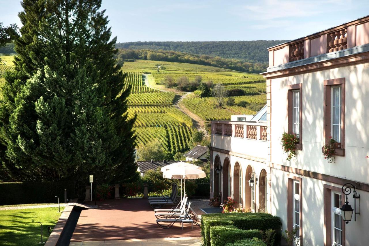 Château d'Isenbourg&SPA Rouffach Exterior foto